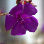 IMG_2011_08_28_1048