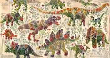 Tuesday Sweep: 27 June 2017
