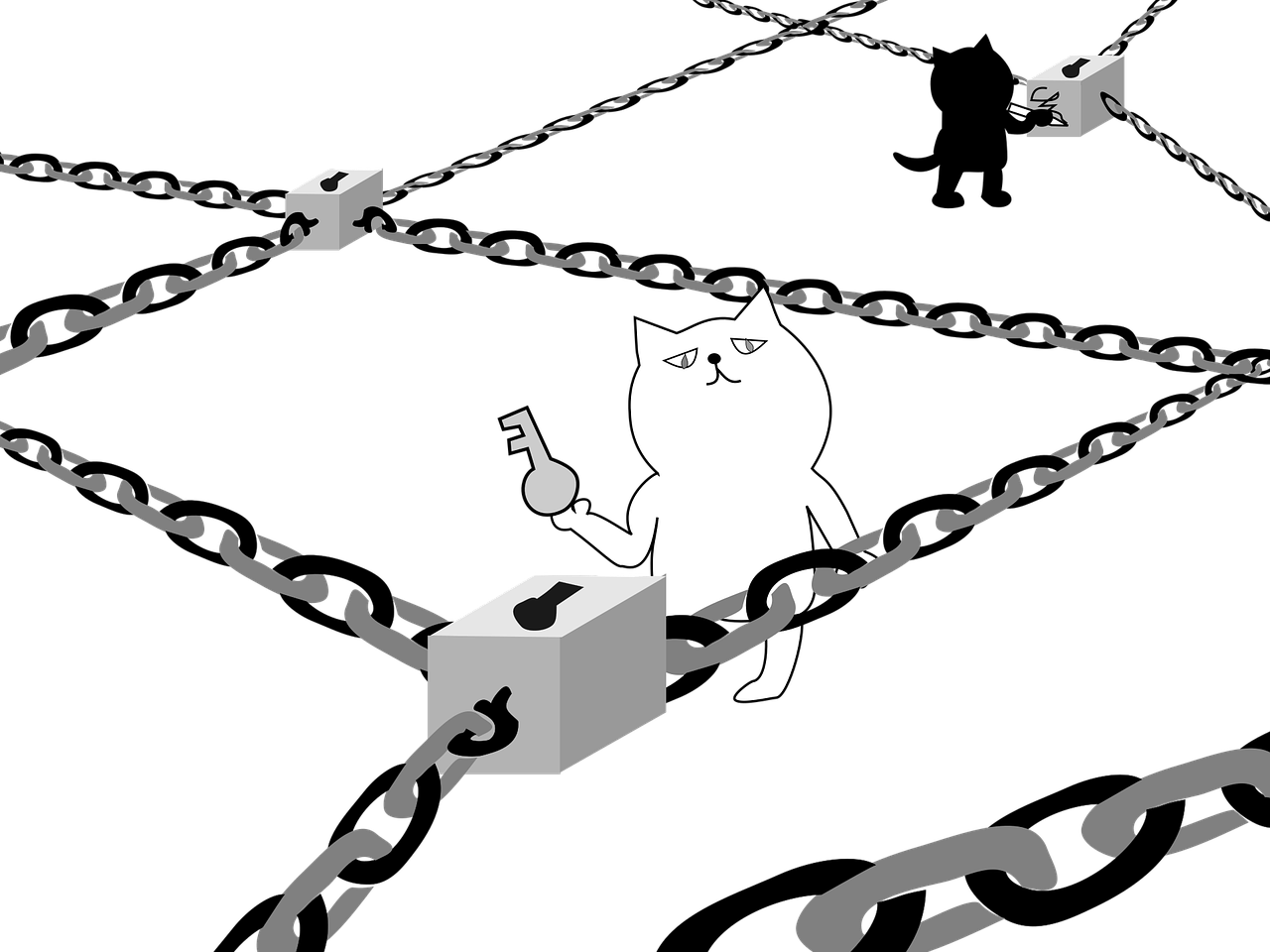 cats with keys and chains.