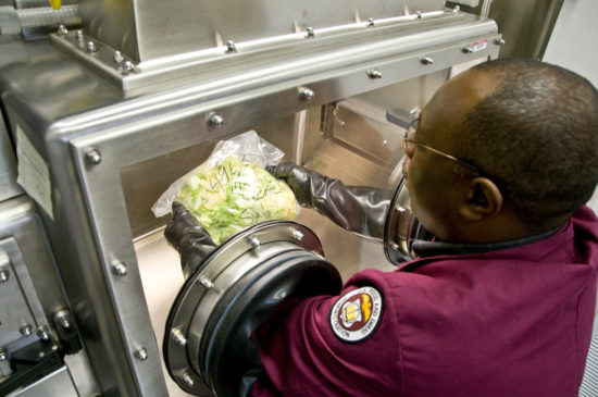 FDA Worker uses a glove box to examine lettuce