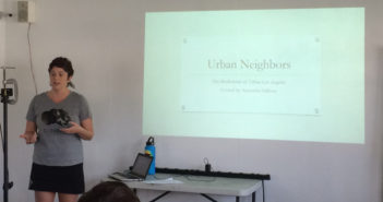 Urban Neighbors: The Biodiversity of Urban Los Angeles: Watch Online!