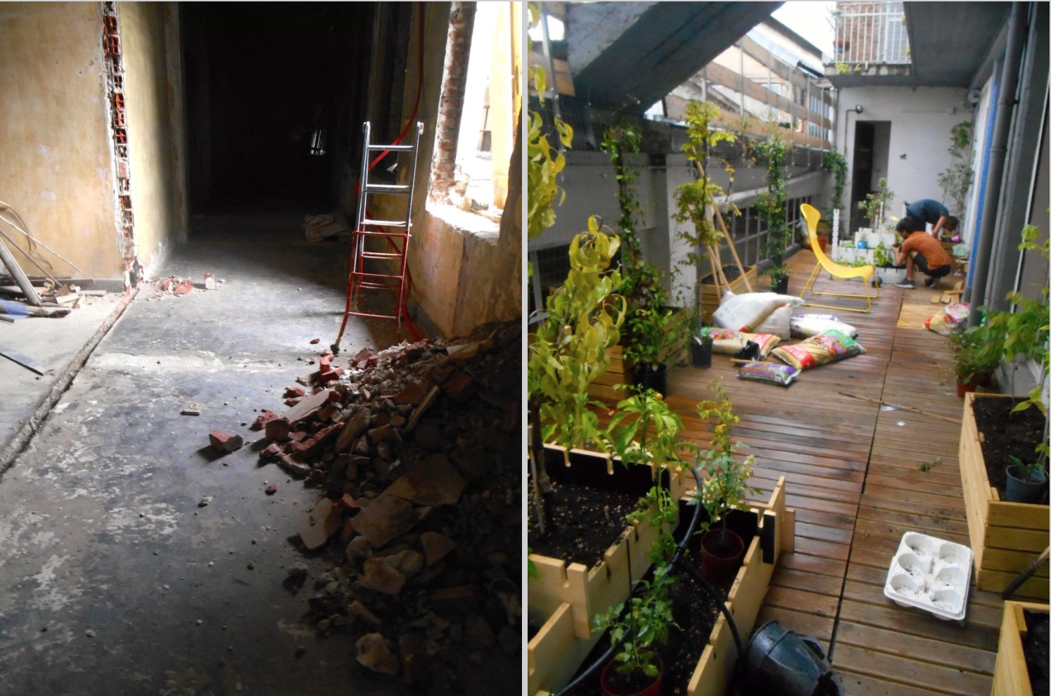 A before and after of a dark corridor to a sun room with plants