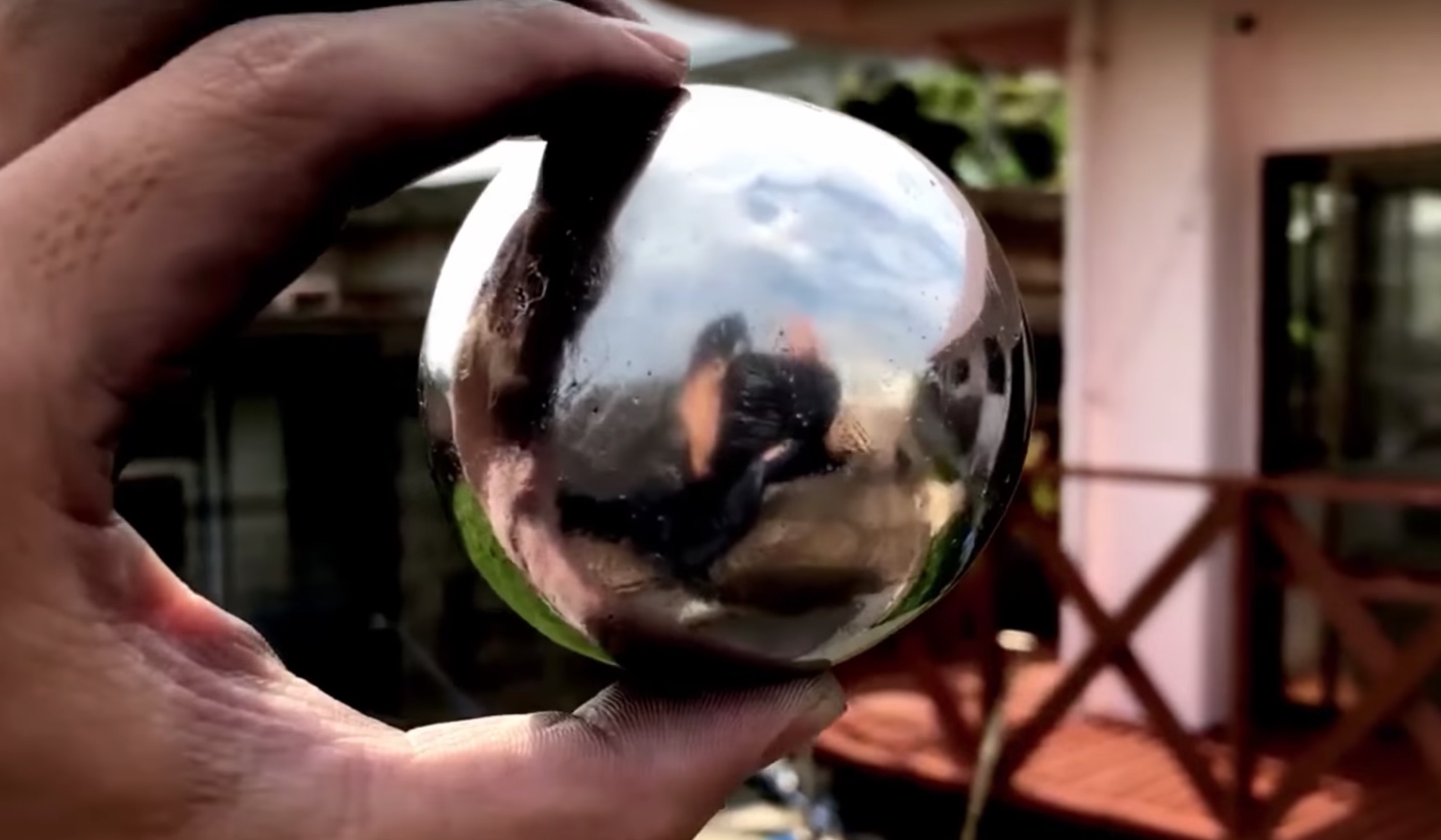 a shiny ball being held by the photographers left hand while outdoors in their back yard. Their reflection is vaguely visible.