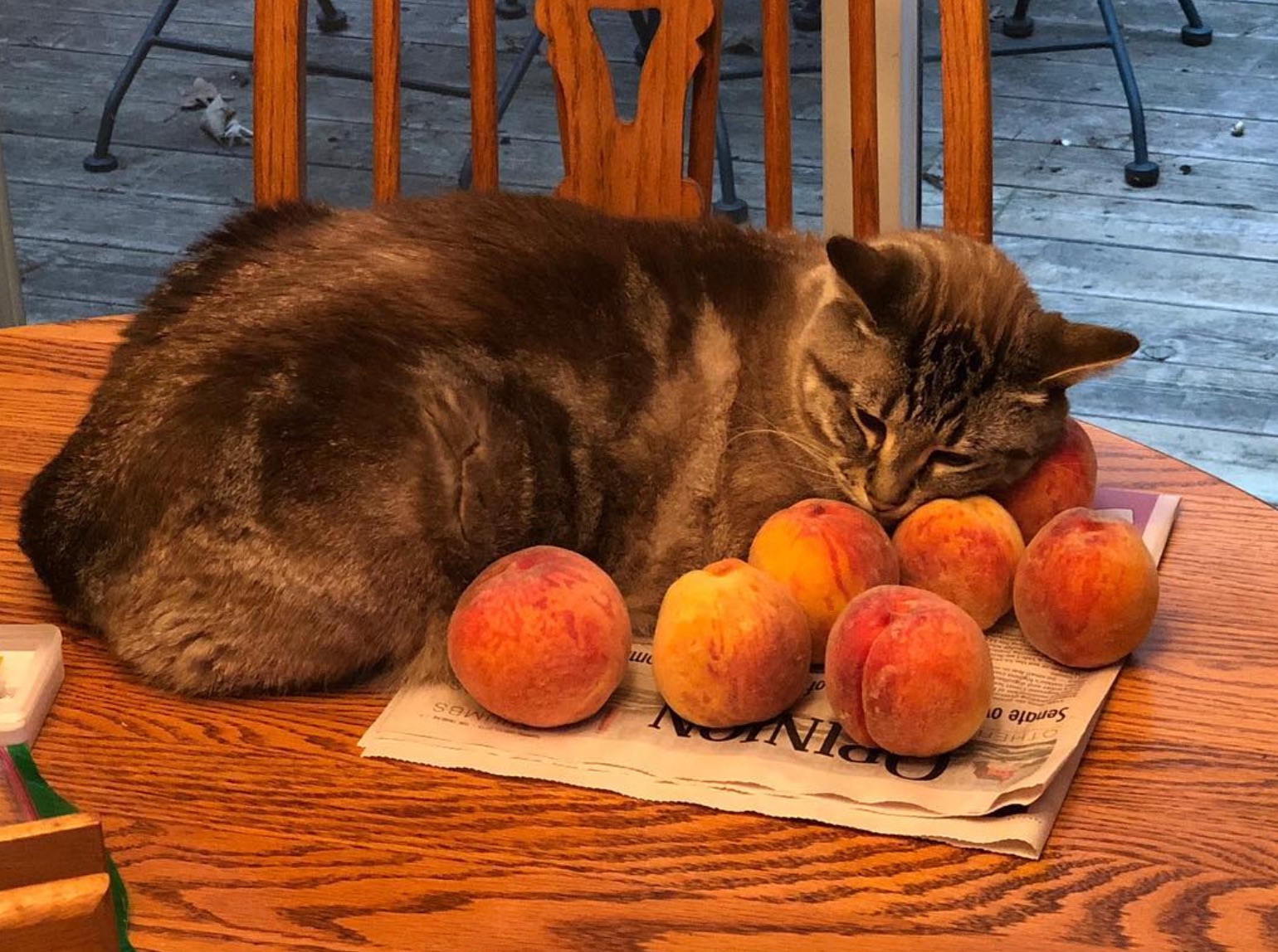 a cat, snuggled in with a cluster of peaches on a wooden table