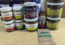 5 Kelp Facts (& Tasting!)