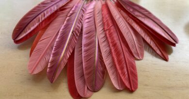 3D Printed Feathers with BarbMakesThings