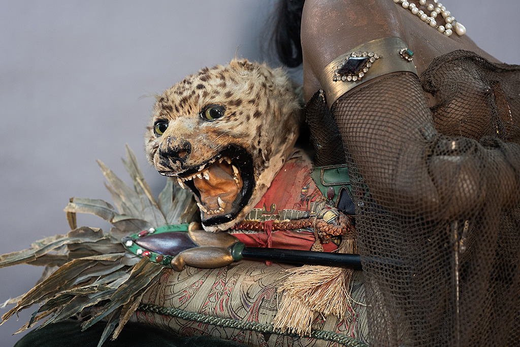 Detailed image of the face of the large cat